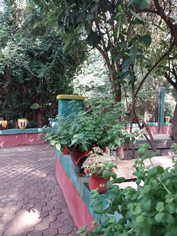 Green Garden Guest House Arusha Exteriör bild
