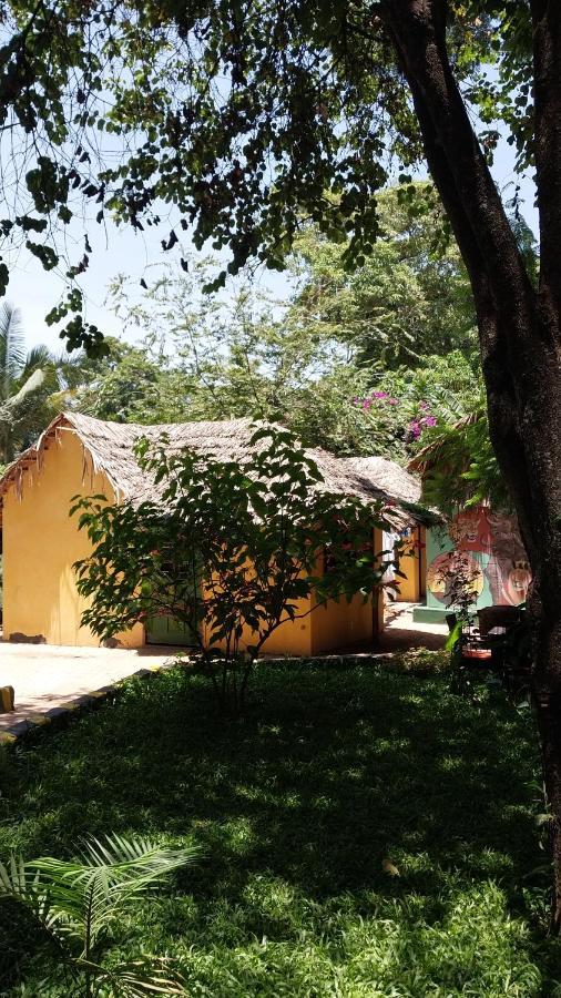 Green Garden Guest House Arusha Exteriör bild