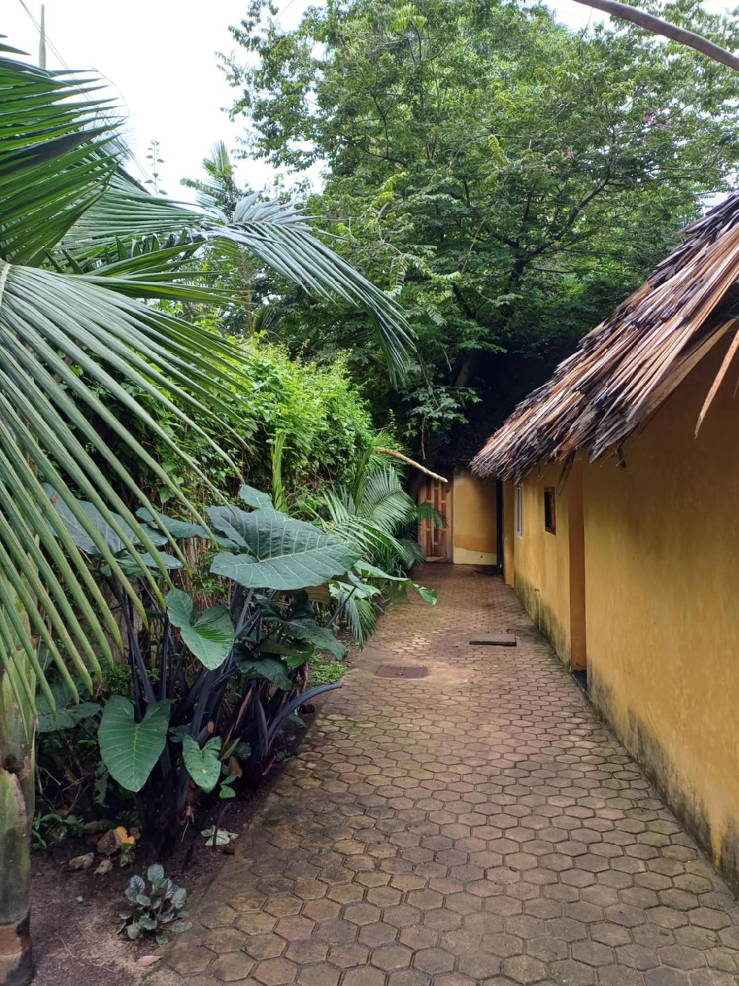 Green Garden Guest House Arusha Exteriör bild